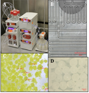 Figure 1. (a) the asia micro-flow-chemistry system. (b) image of the micro-channels in a representative flow-chemistry chip used in this study. (c) recrystallization of the explosive llm105 from anti-solvent mixing using a micro-fluidic system. (d) crystals of 1-chloro-2-nito-benzene formed by melt extrusion-droplet formation in a micro-fluidic system. (scale bar for c and d is 100 µm.)