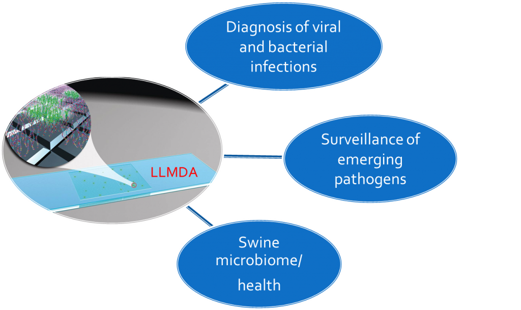 The lawrence livermore microbial detection array (llmda) can be applied in veterinary medicine to rapidly diagnose animal diseases, provide broad surveillance of known and emerging pathogens, and to help the swine industry evaluate swine health.