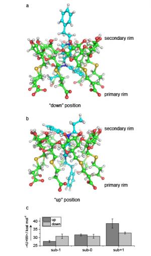 Figure 4. molecular dynamic results for the host–guest complex with two orientations: (a) fentanyl, with the carbon atoms in cyan, aligned “down” with amide half near the primary rim of suβ−0, with carbon atoms in green; (b) fentanyl in alternate “up” position within suβ−0; and (c) binding energies for all three carboxylate subetadex complexes.