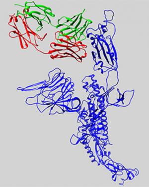 featured research highlight 01 large