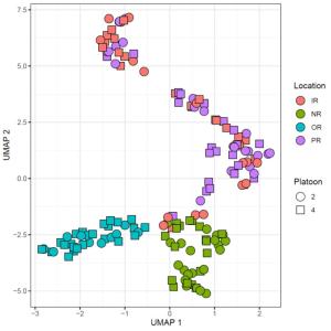 featured research highlight 05 large